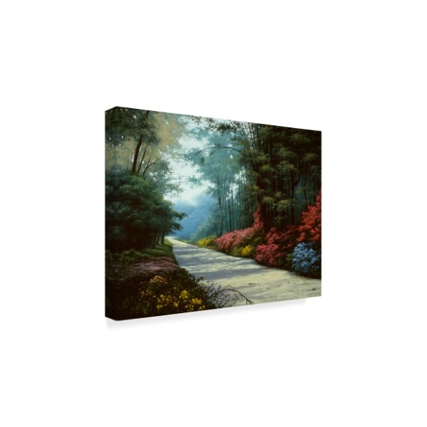 Anthony Casay 'Garden Path' Canvas Art,35x47